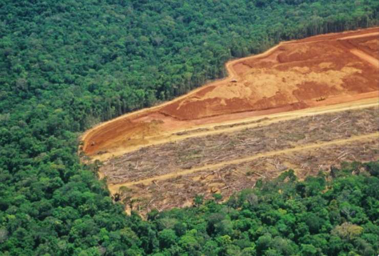 Foresta amazzonica rischio collasso